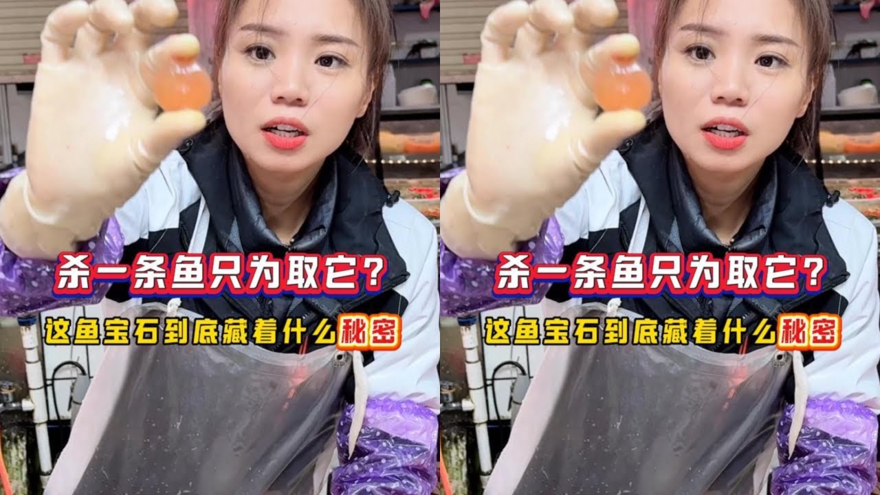 杀一条鱼只为取它？这鱼宝石到底藏着什么秘密