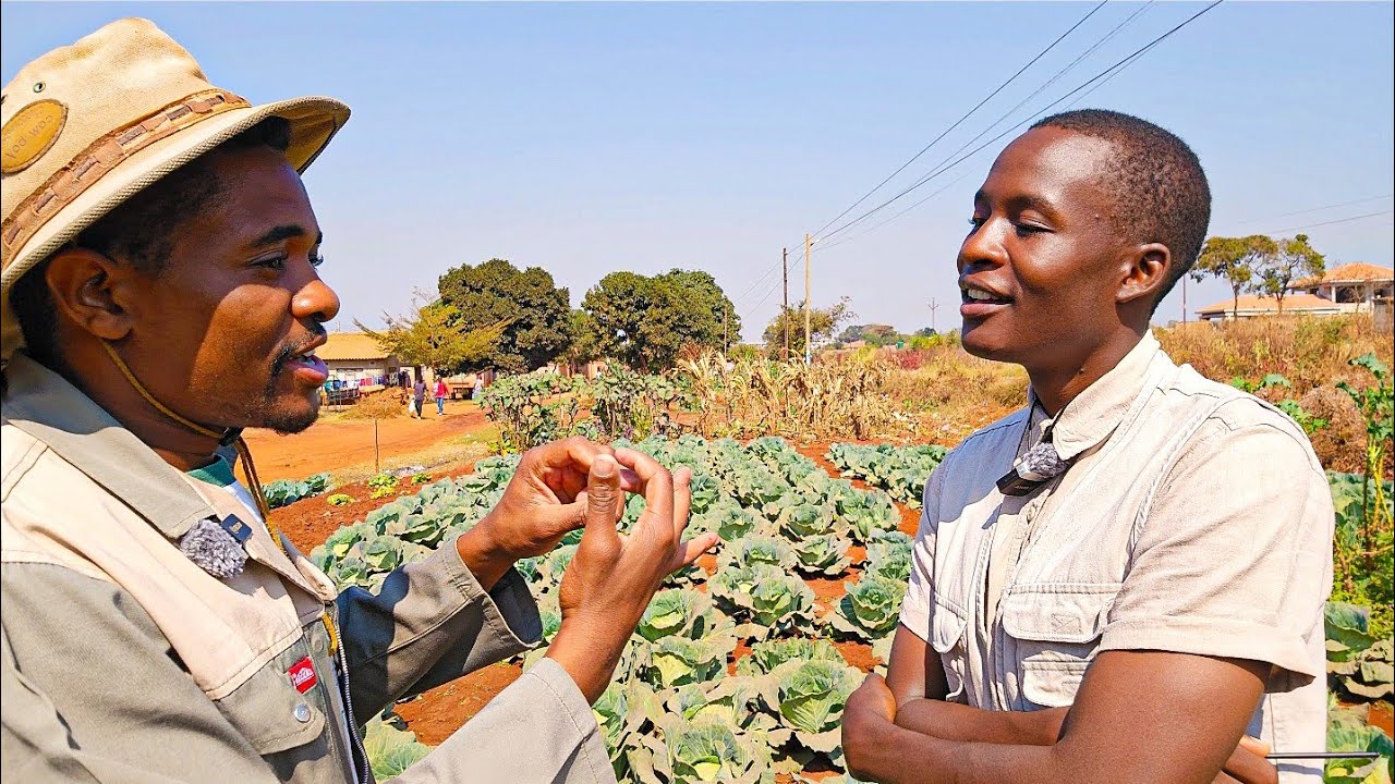 How He was Forced to Go into Farming by a Horrible Heartbreak