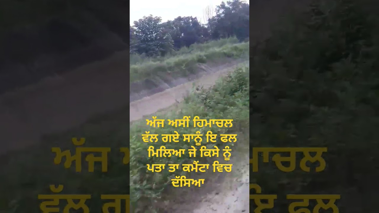 #love #bassboosted #anointedworship6 #yahovamerenaalae🥰🥰🥰🥰