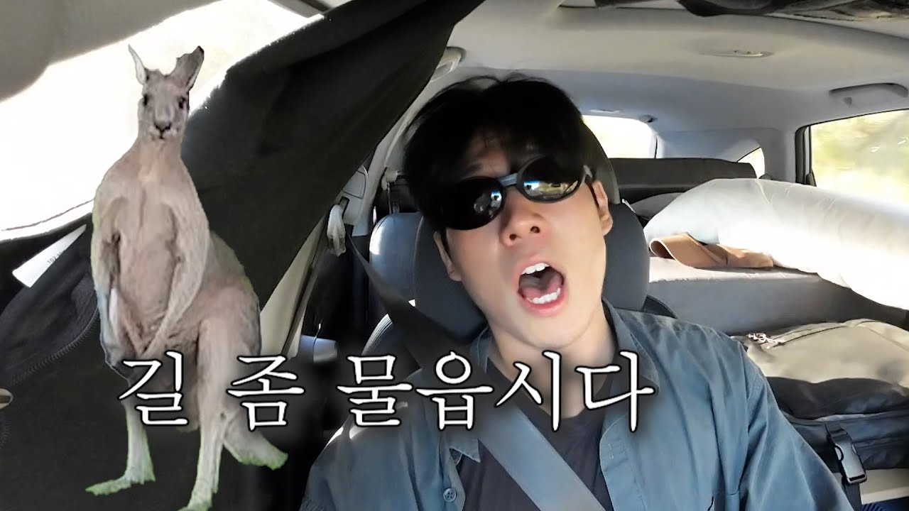 다들 호주오면 로드트립 하셔야죠?