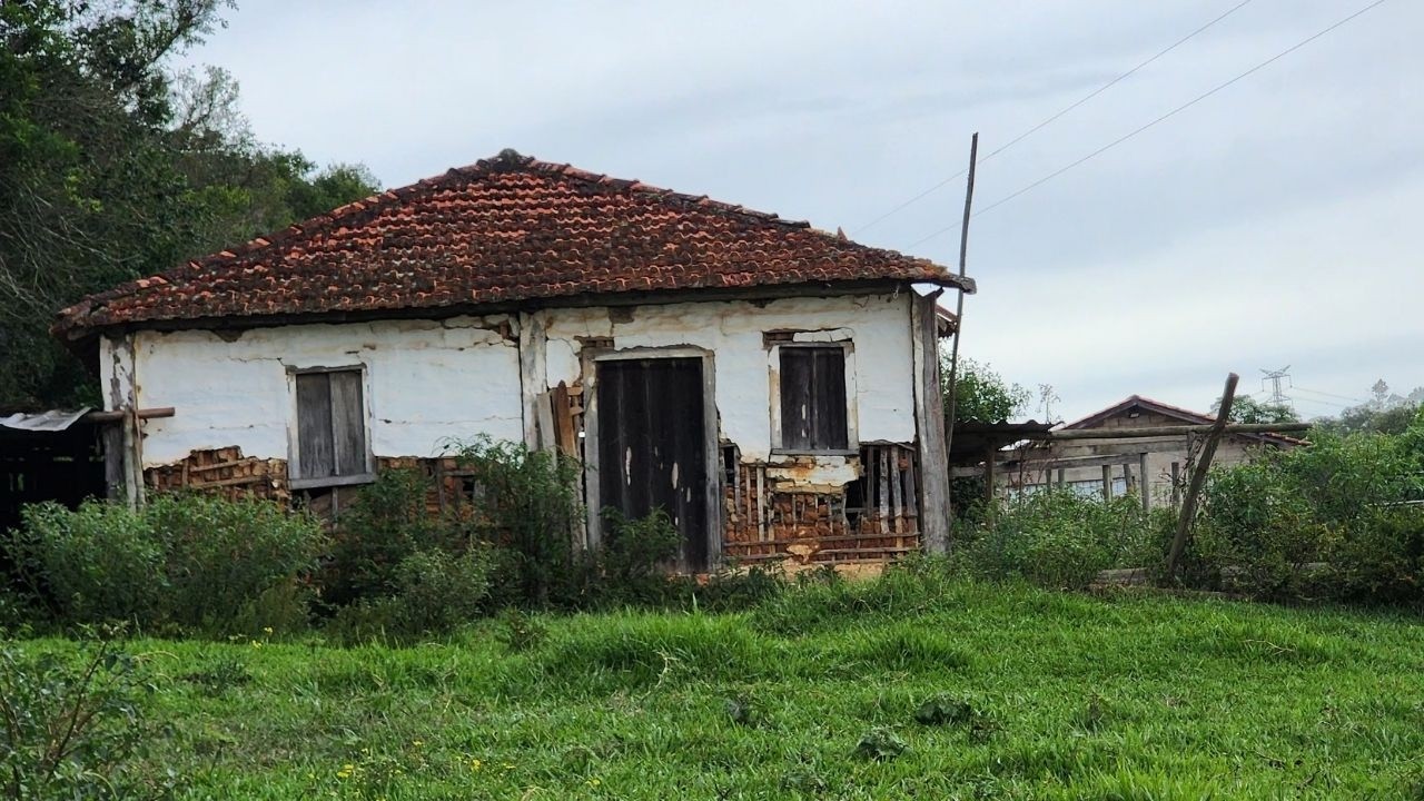 🚀 De um pequeno SONHO a uma GRANDE realidade: A história da Fabiana com a Galinha Balão! 🐓🔥