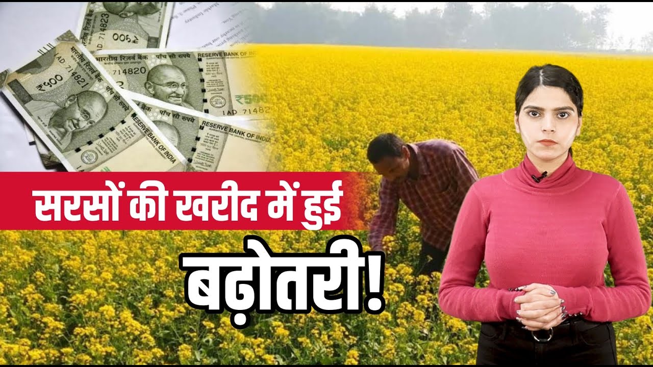 28 मार्च से शुरू होगी सरसो की खरीद | Sarso Ki Kheti | MSP | Sarso MSP | Krishi Jagan | Crops MSP