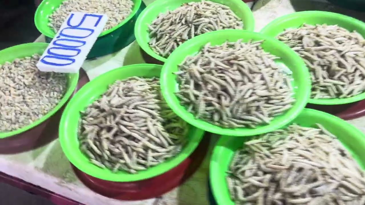 老撾市場！竹蟲、各種昆蟲、野魚、野生植物、多樣蔬菜 … … 全部都喺呢度！