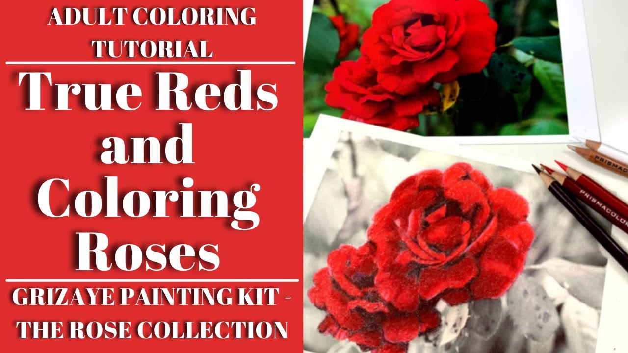 True Reds and Coloring Roses | Adult Coloring Tutorial | Grizaye Paining Kit - The Rose Collection