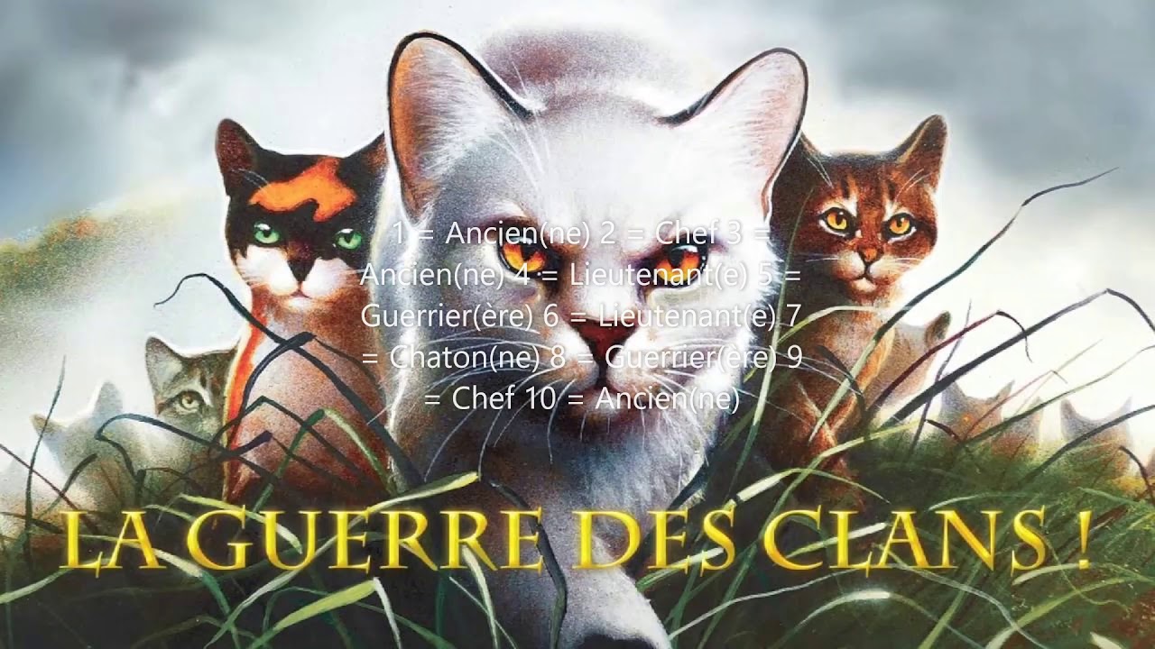 Ton nom, grade, apparence et Clan LGDC