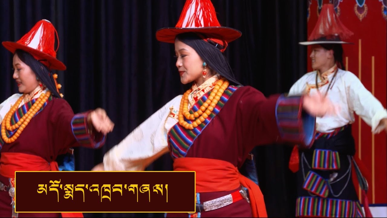 བོད་གངས་ཅན་གྱི་སྣོད་བཅུད་ངོ་མཚར་བསྟོད་པ། || Domey Dance || TIPA
