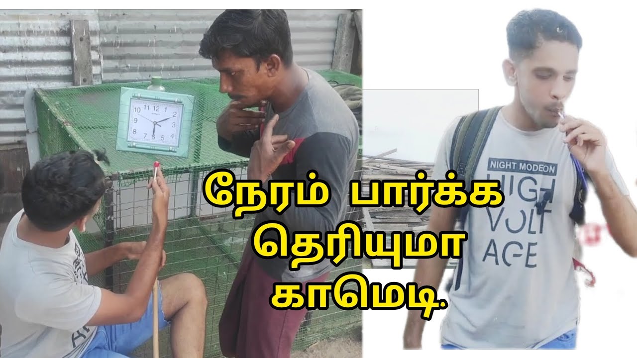 நேரம் பார்க்க தெரியுமா Tamil comedy வாங்க சிரிக்கலாம் kky mahilchi