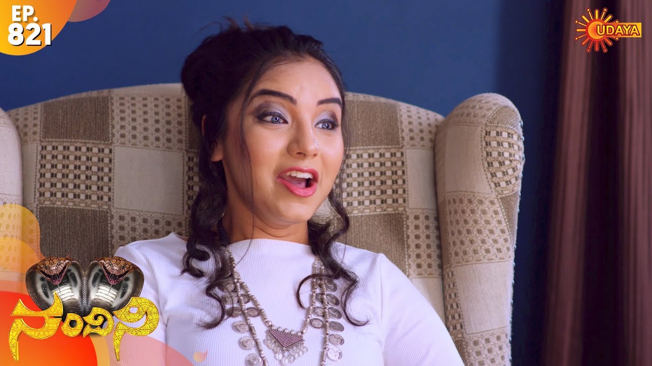Nandini - Episode 821 | 16th Dec 19 | Udaya TV Serial | Kannada Serial
