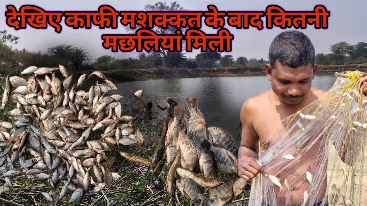 काफी मशक्कत के बाद कितनी मछली देखिए वीडियो #fish #fishing #villagerlifestyle #fishingvideos
