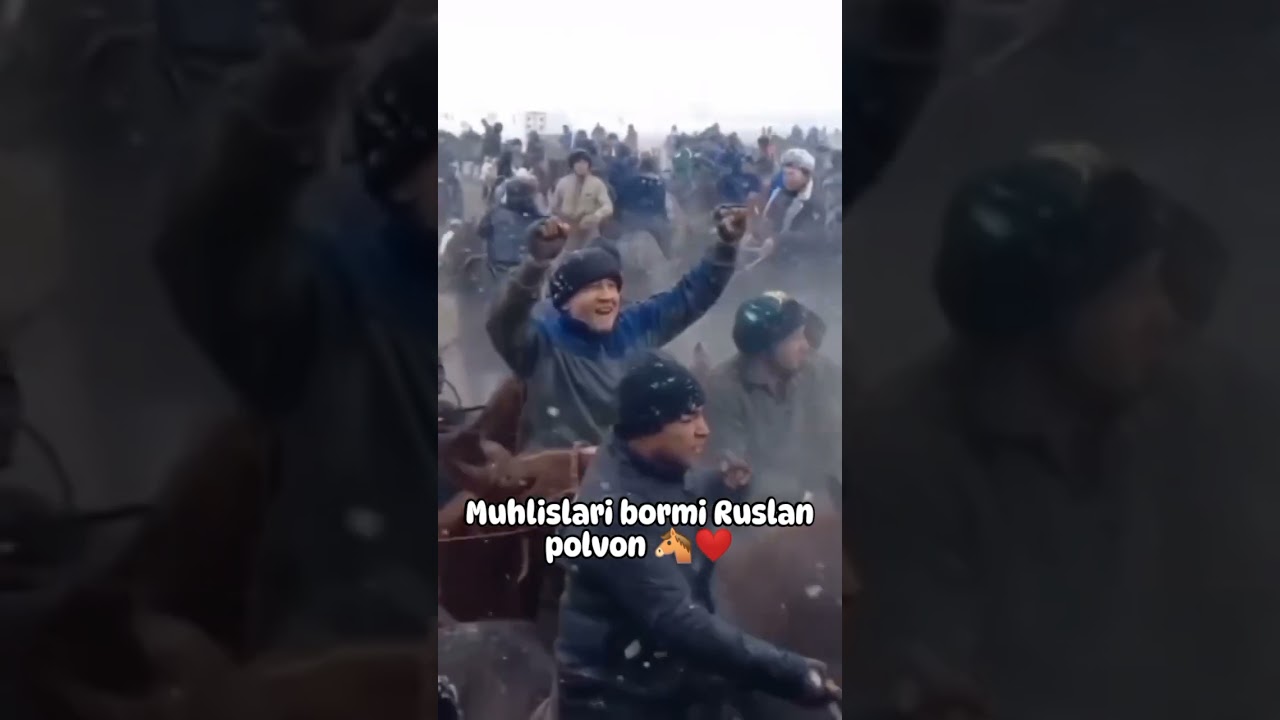 Ruslan Polvon muhlislari qancha #Ruslan##koʻpkari##buzkashi##uloq#