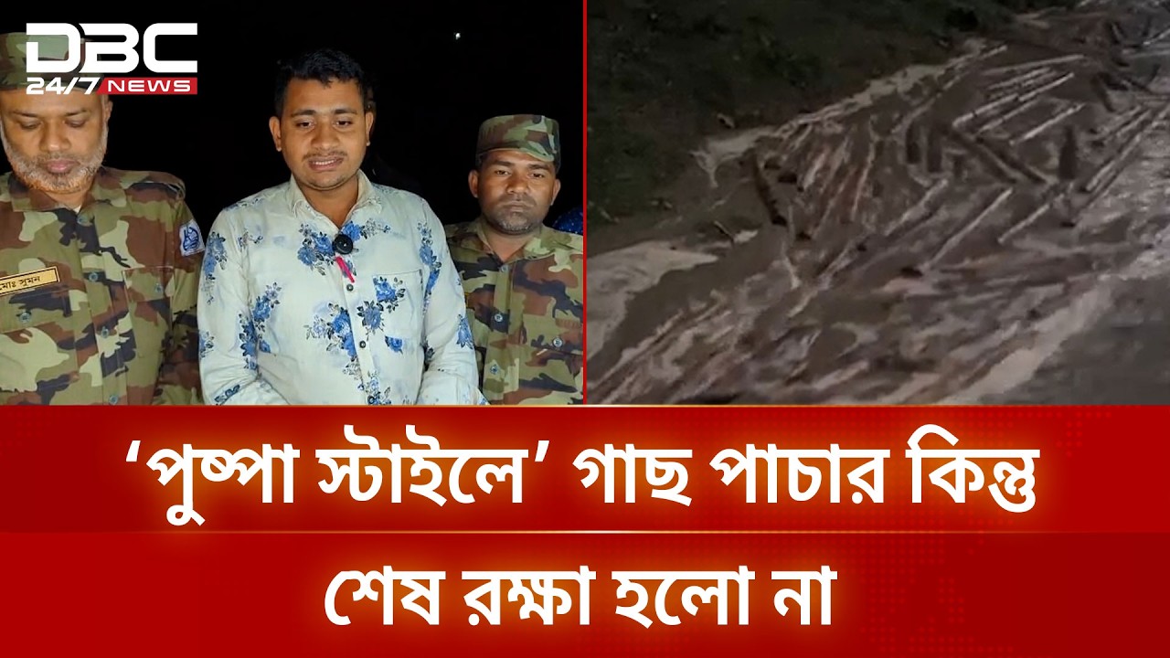 ‘পুষ্পা স্টাইলে’ গাছ পাচার কিন্তু শেষ রক্ষা হলো না; চবির ঝিরিপথে ধরা পড়লো কাঠের চালান | DBC NEWS