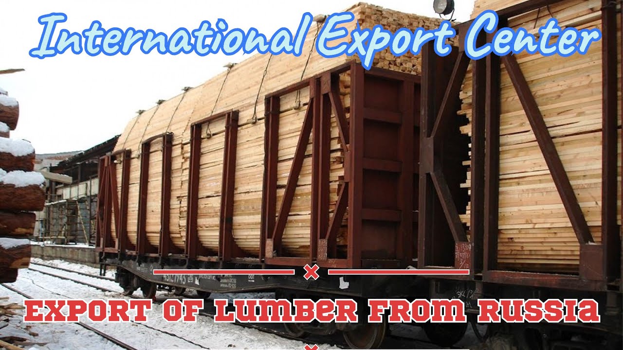 Wholesale of wood materials. Lumber. Forest. Sawmill. IEC. Export from Russia.