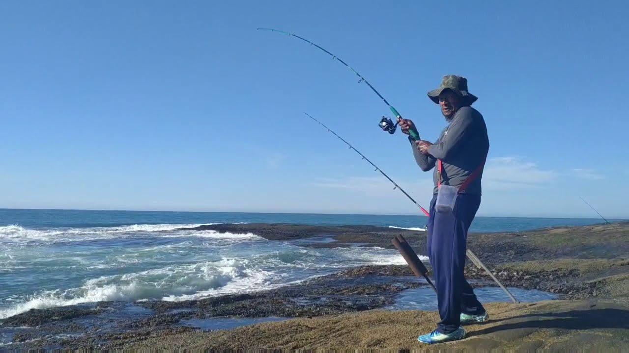 ENSINANDO PEGAR CARANGUEIJINHO PARA SARGO DE DENTE
