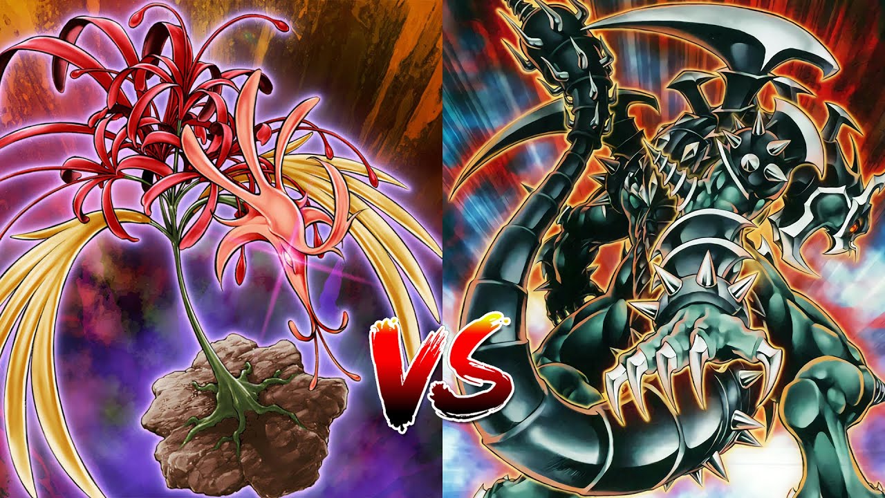 Amaryllis Burn VS TeleDAD | Edison Format (8K)