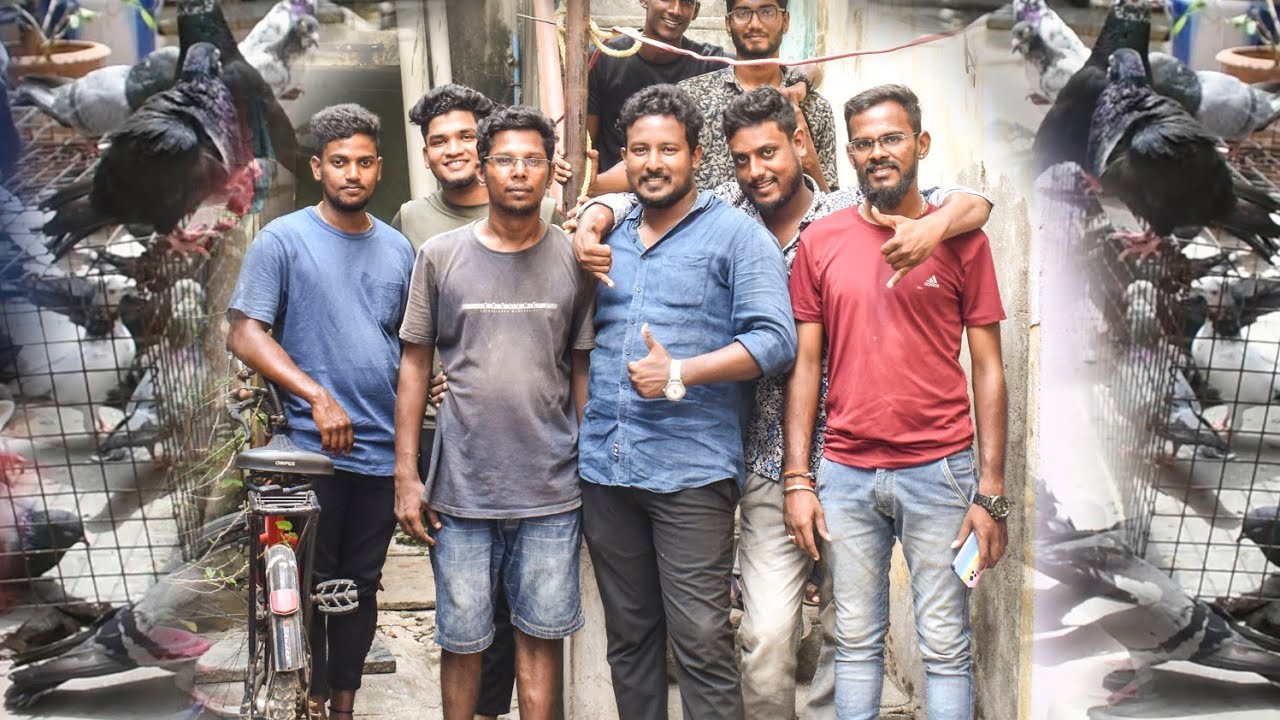 VIJAY  SADHA & KARNA RACER PIGEON LOFT