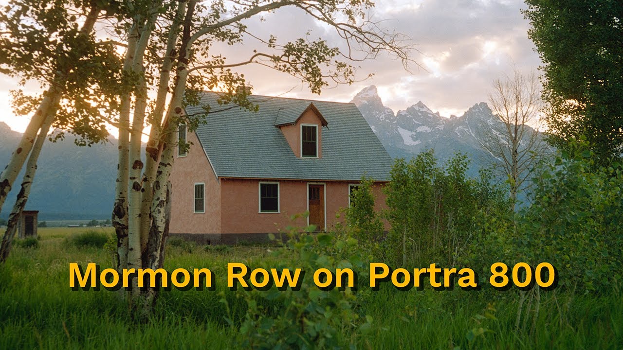 Portra 800 in the Tetons