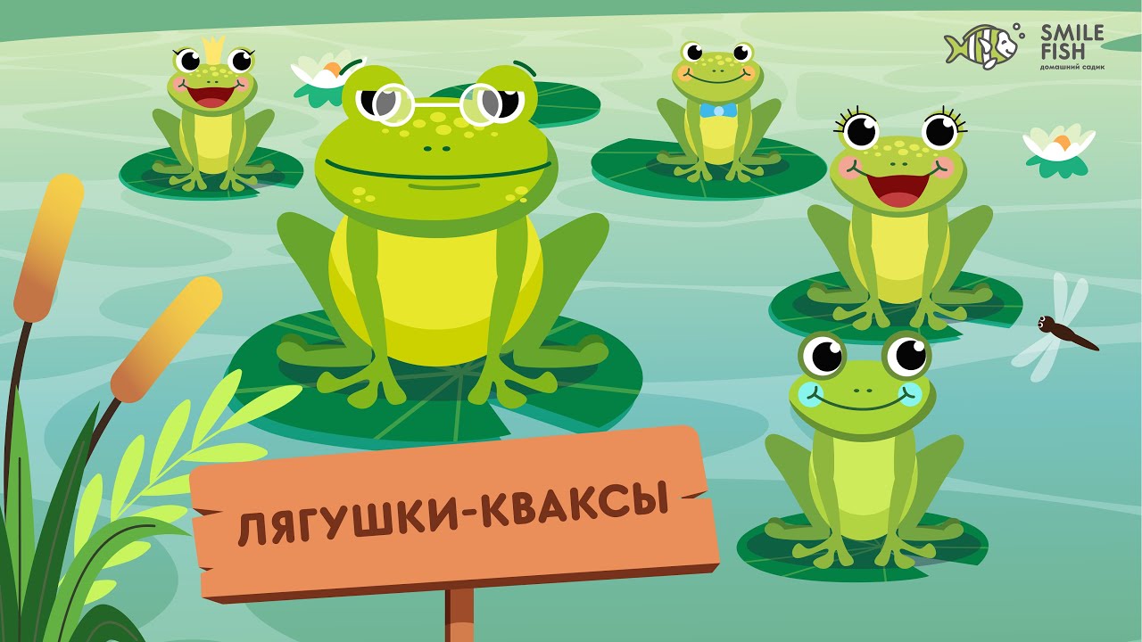 🎵 ЛЯГУШКИ-КВАКСЫ &mdash; веселая песенка для детей | Мультик про СОН | Детский сад SMILE FISH