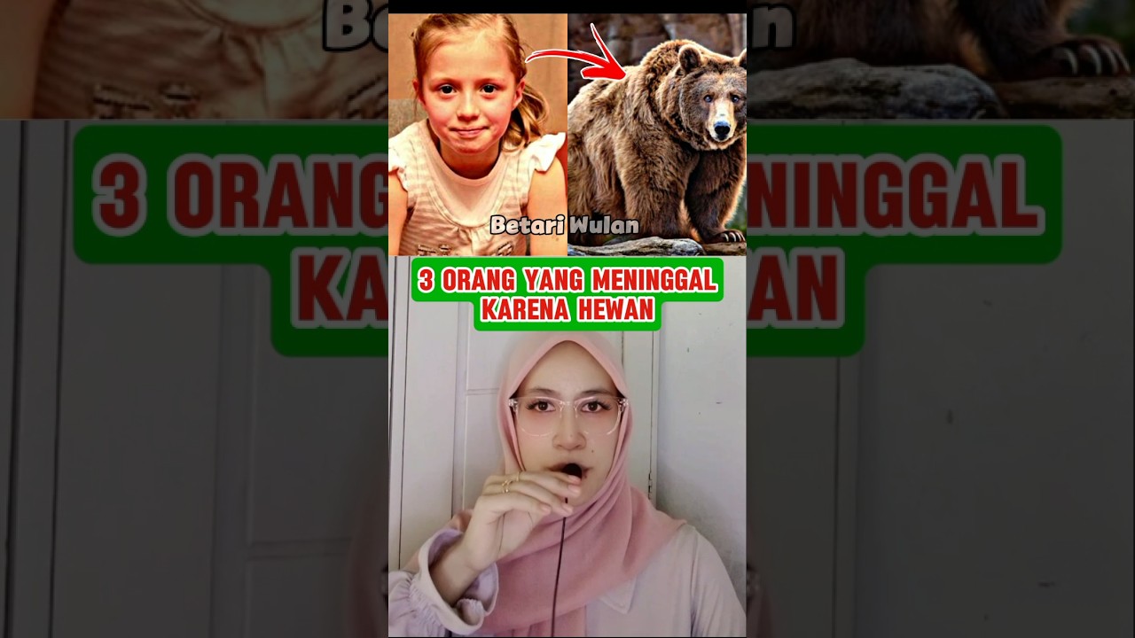 3 ORANG YANG MENINGGAL KARENA HEWAN ‼️😰