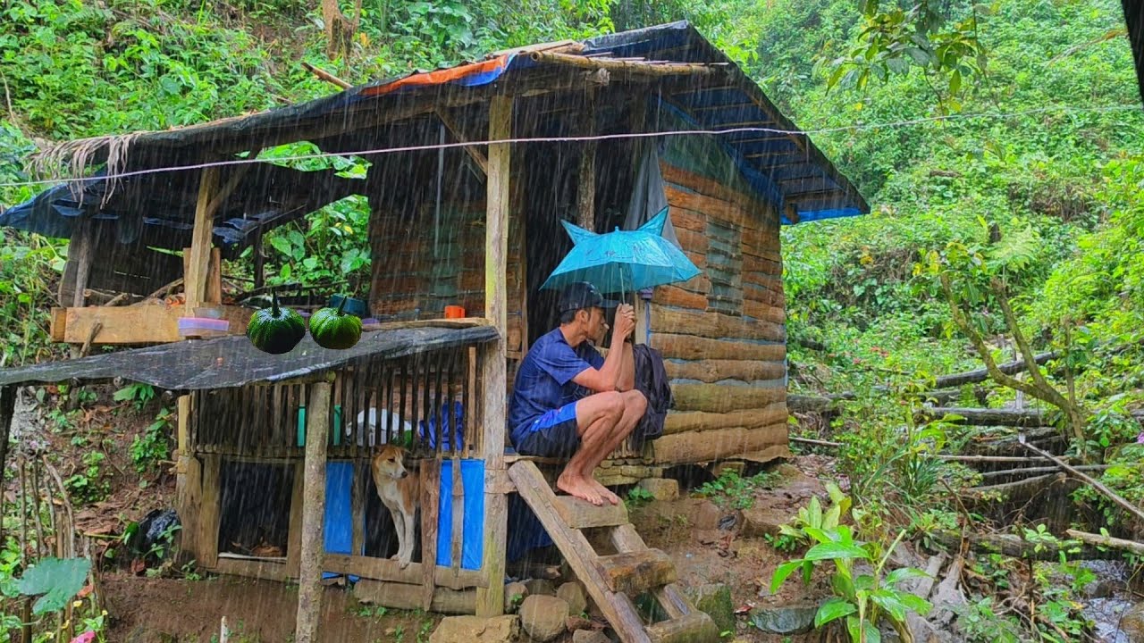 Kehujanan Saat perjalanan Ke Hutan - Langsung Panen Labu Di Samping Pondok - Memberi Makan anjing