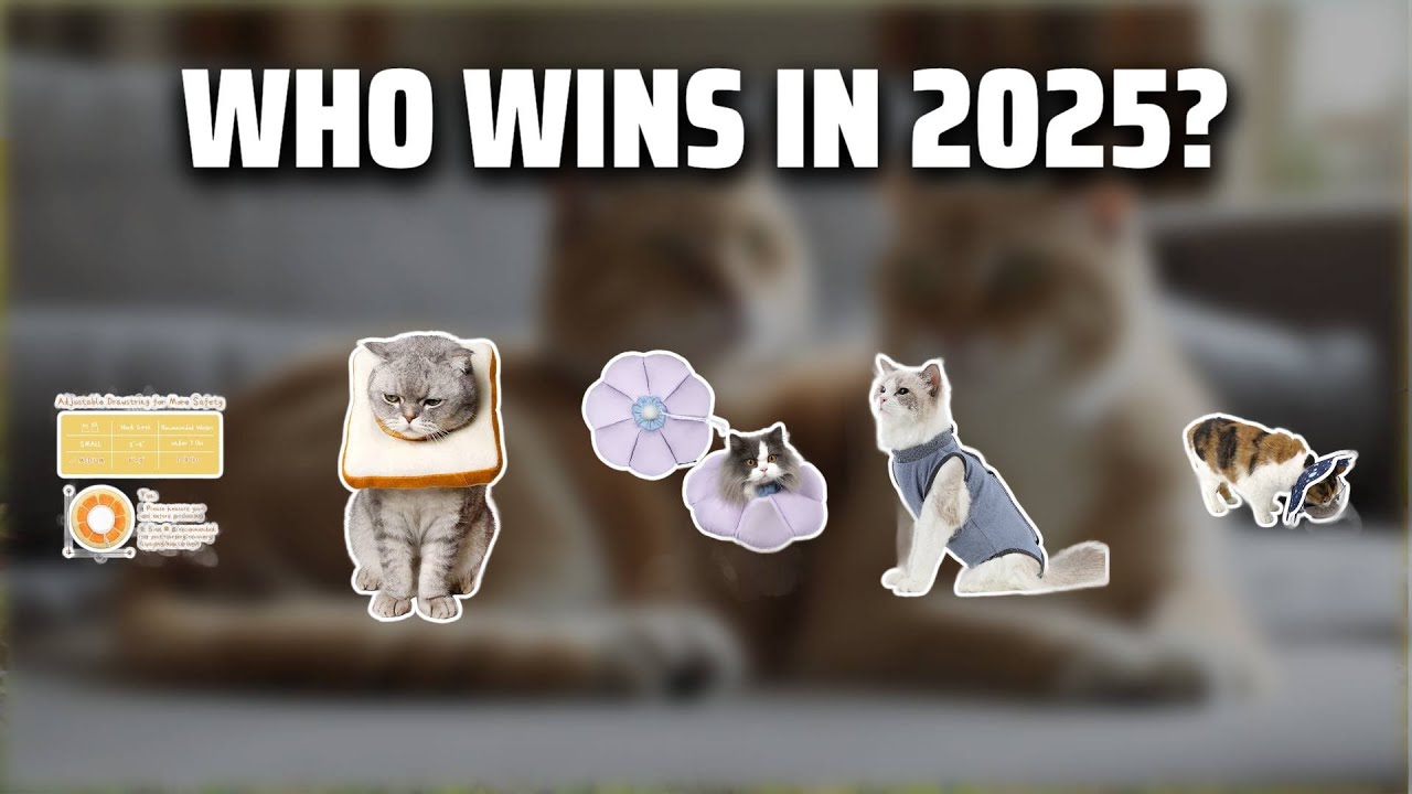 The Top 5 Best Cat Cone Alternative in 2025 - Must Watch Before Buying!