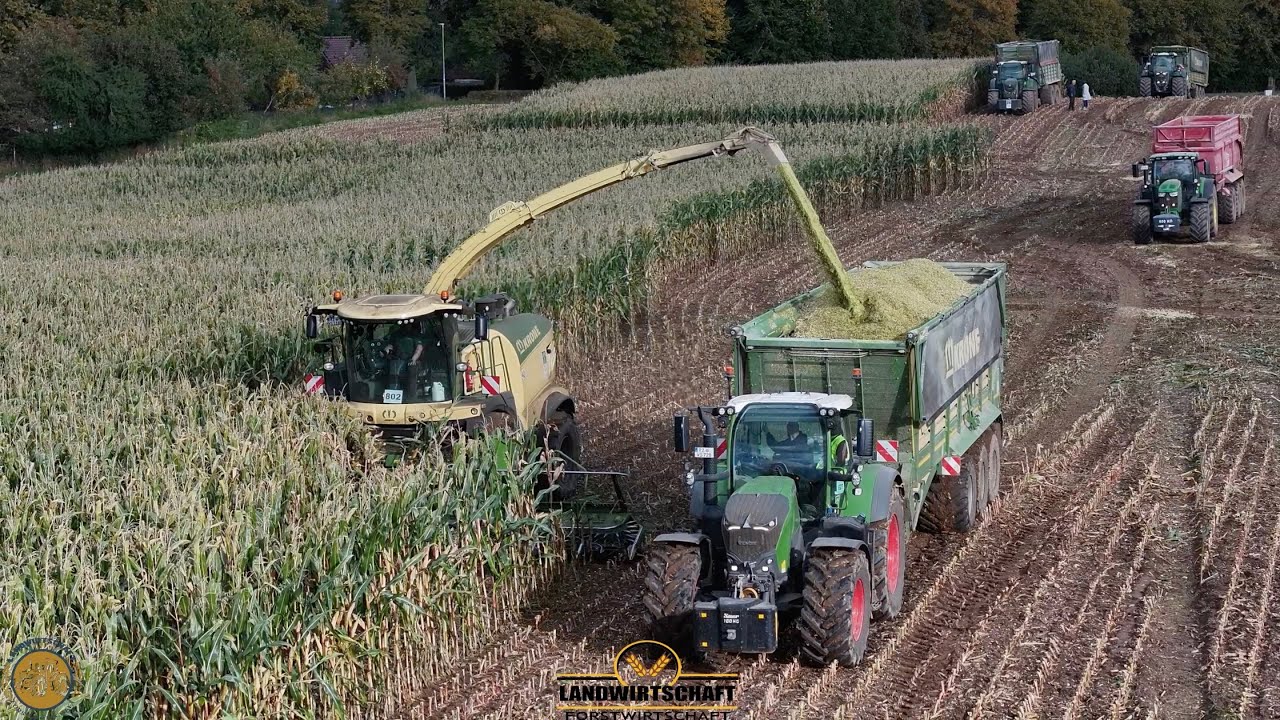 Reichen 4 Abfahrer für den Rest? Wir häckseln das 1,2km Lage Maisfeld Maisernte LU Walter-Schütt