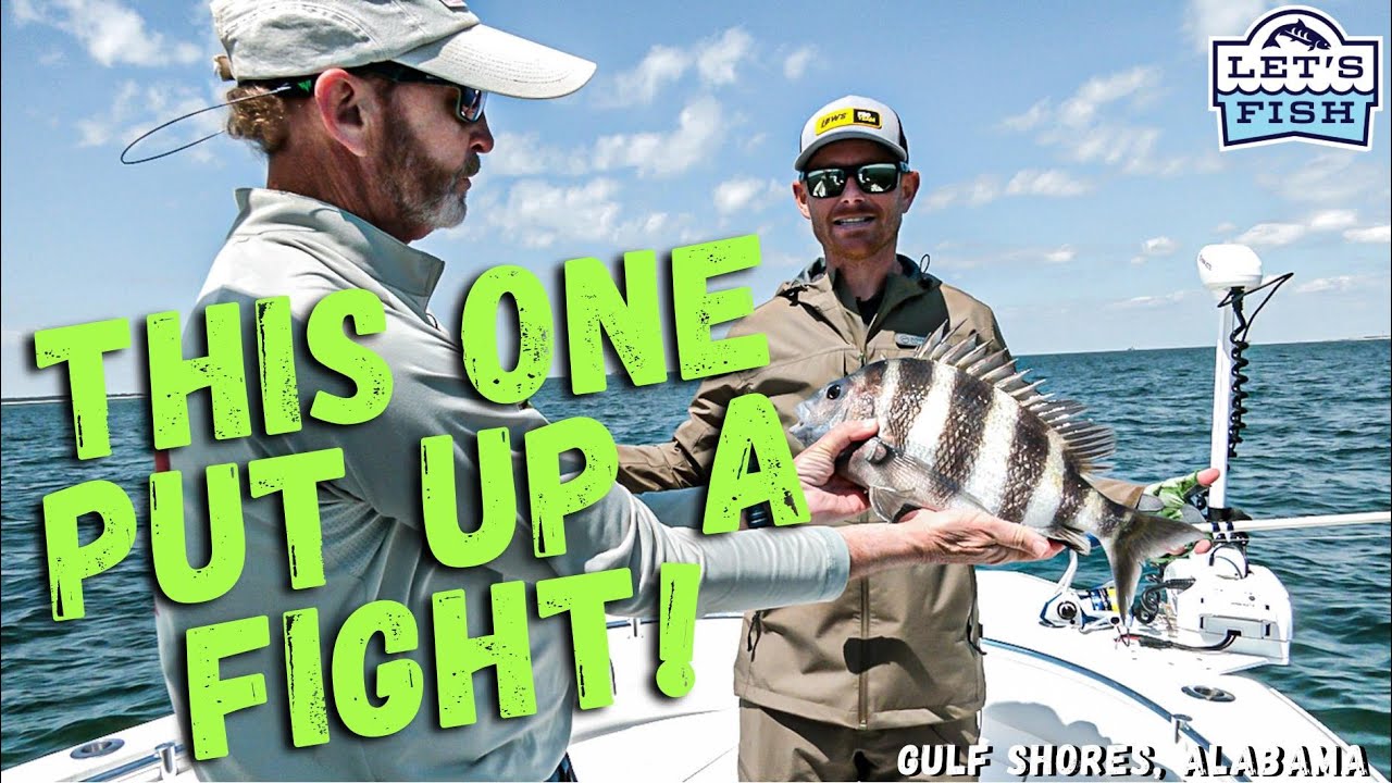 COASTAL FISHING FRENZY!  11-2024 SouthWEST