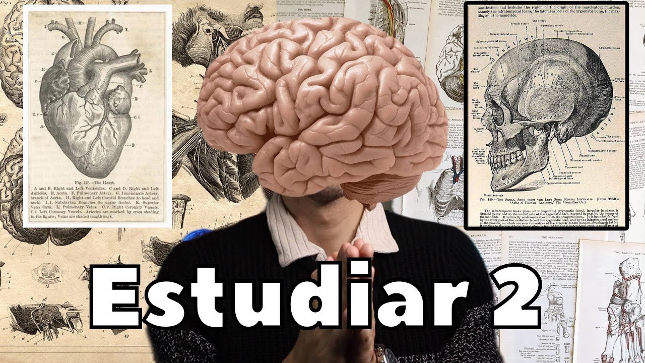 ¡ESTUDIA DE MANERA INTELIGENTE! |DrPoloGuerrero