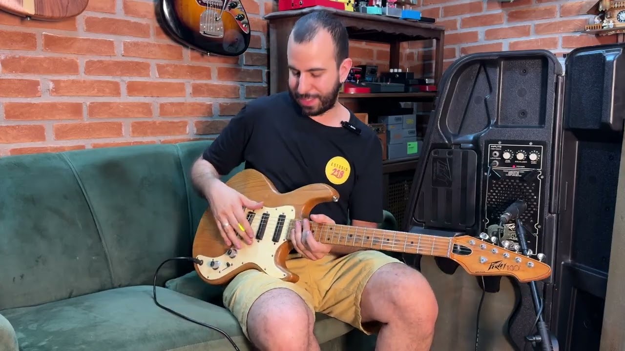 Peavey T30 Kit - Video Papo