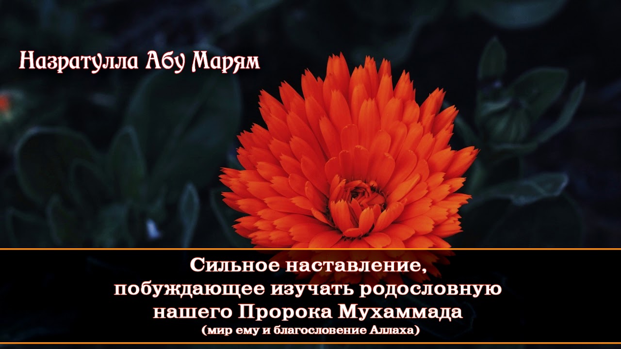 Назратулла Абу Марям-сильное наставление, побуждающее изучать родословную Пророка Мухаммада (ﷺ)