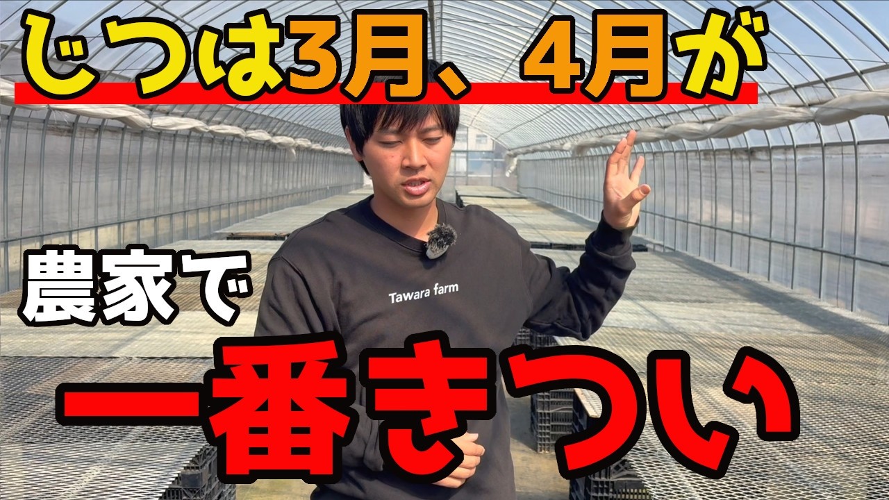 この時期が農家で一番しんどい月な理由についてお話しします。【家庭菜園】