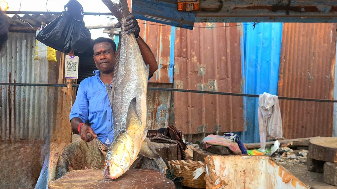 KASIMEDU FISH MARKET 🔥 SEA VIRAAL FISH CUTTING 🔥  #kasimedufishmarketlatest #speedselvam