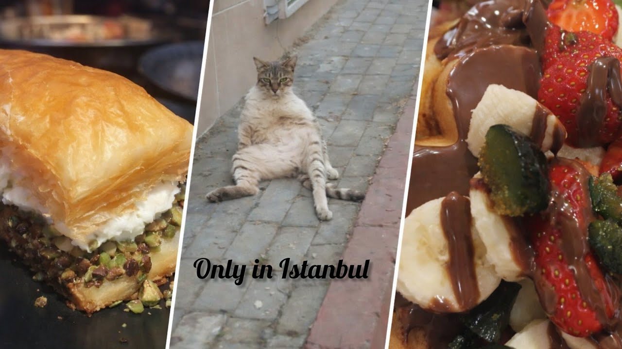 Istanbul Bites: Street Food, Sweet Desserts & Legendary Cats 🐈🍰