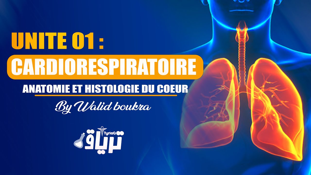 #2ème année TMC CAMP - Unité 1 cardiorespiratoire : ANATOMIE et HISTOLOGIE du cœur | By Walid Boukra