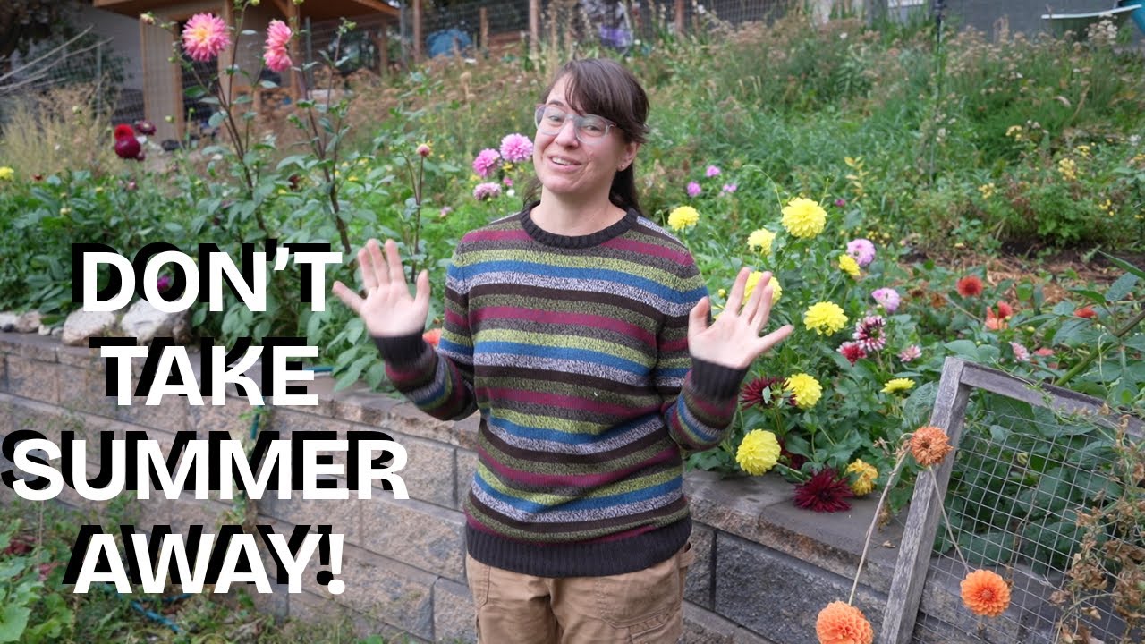 October Garden Tour - Dahlias, Tomatoes, and Projects!