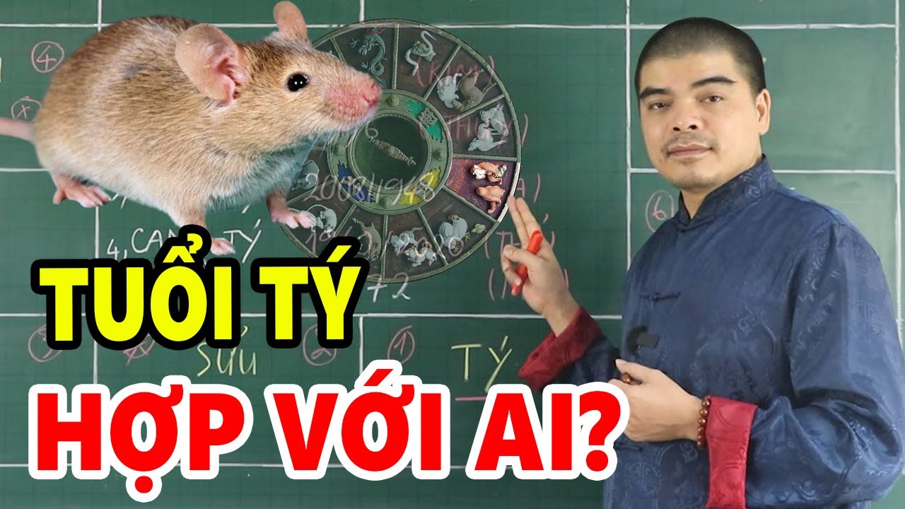 Tuổi TÝ (tuổi Con Chuột) hợp với ai KẾT HỢP LÀM ĂN - KẾT HÔN - SINH CON hợp tuổi nào? Kỵ tuổi nào?