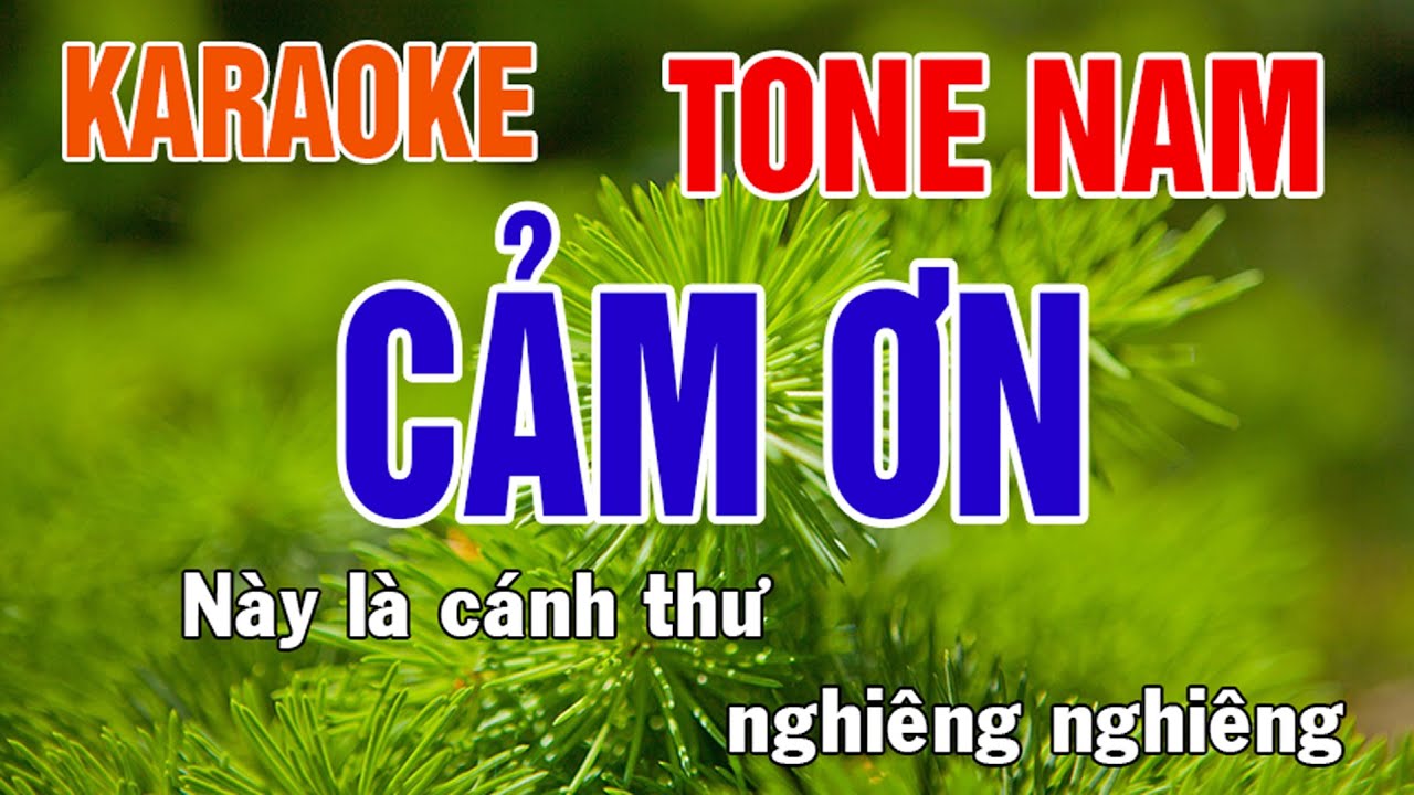 Cảm Ơn Karaoke Tone Nam Nhạc Sống - Phối Mới Dễ H&aacute;t - Nhật Nguyễn