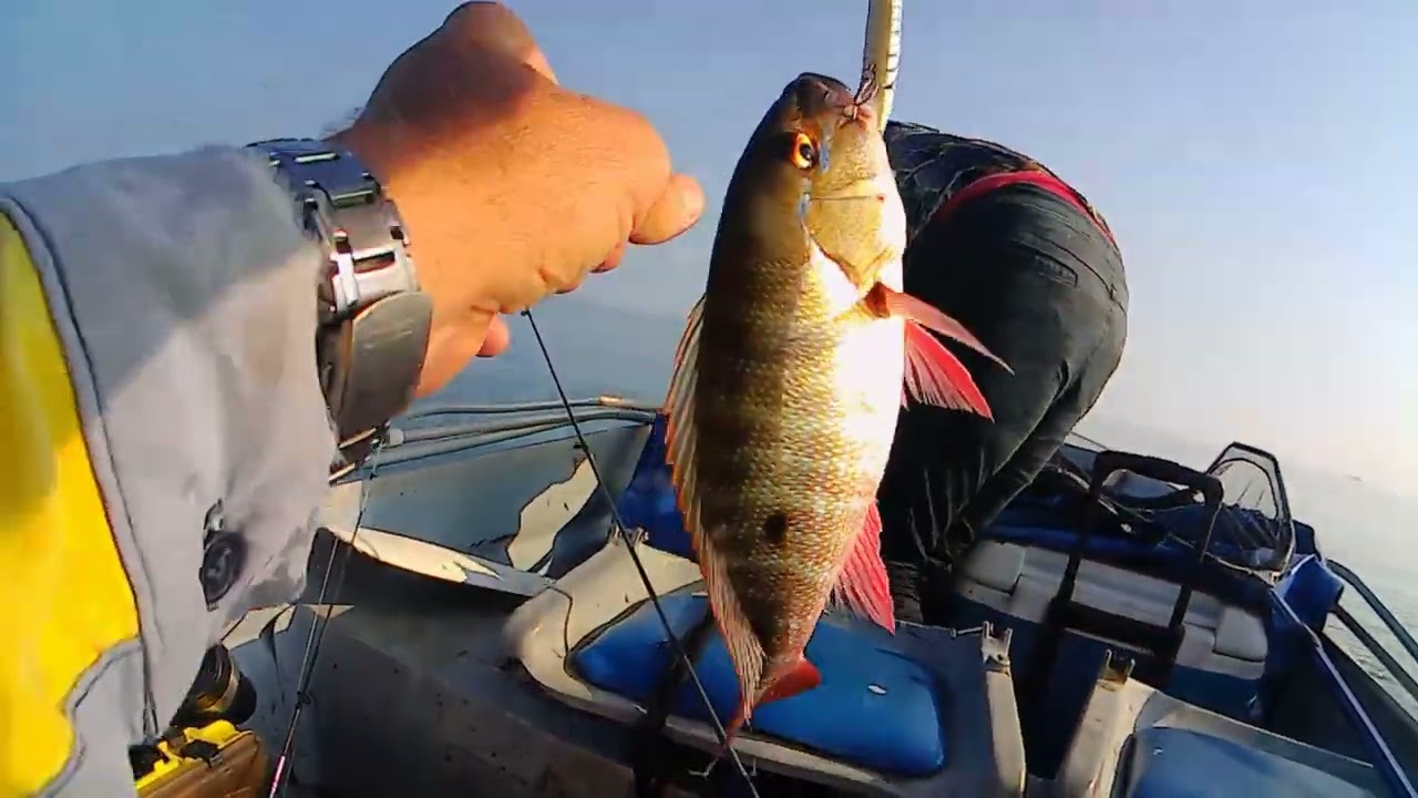 La última pesca de 2025