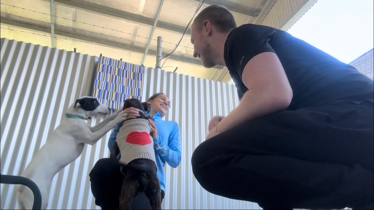 The Final Trip: Visiting a Dog shelter and making a purchase for the channel!