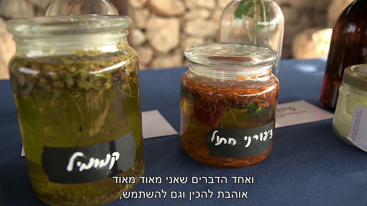 Neot Kedumim | פארק תנכ