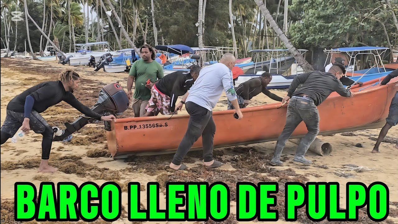 BARCO LLENO DE PULPO_ MERO_CHILLO Y DORADO.