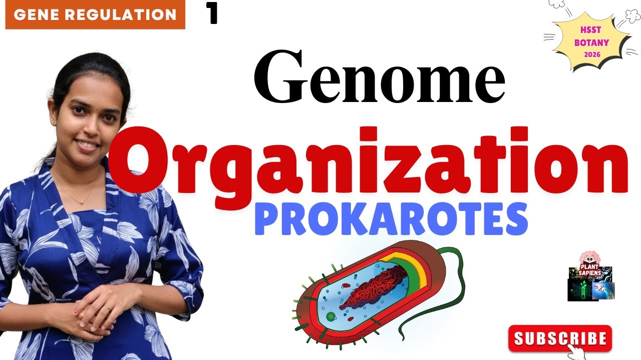 Prokaryotic Genome Organization: A Quick Guide| സിംപിൾ ✅ HSST & SET Botany|