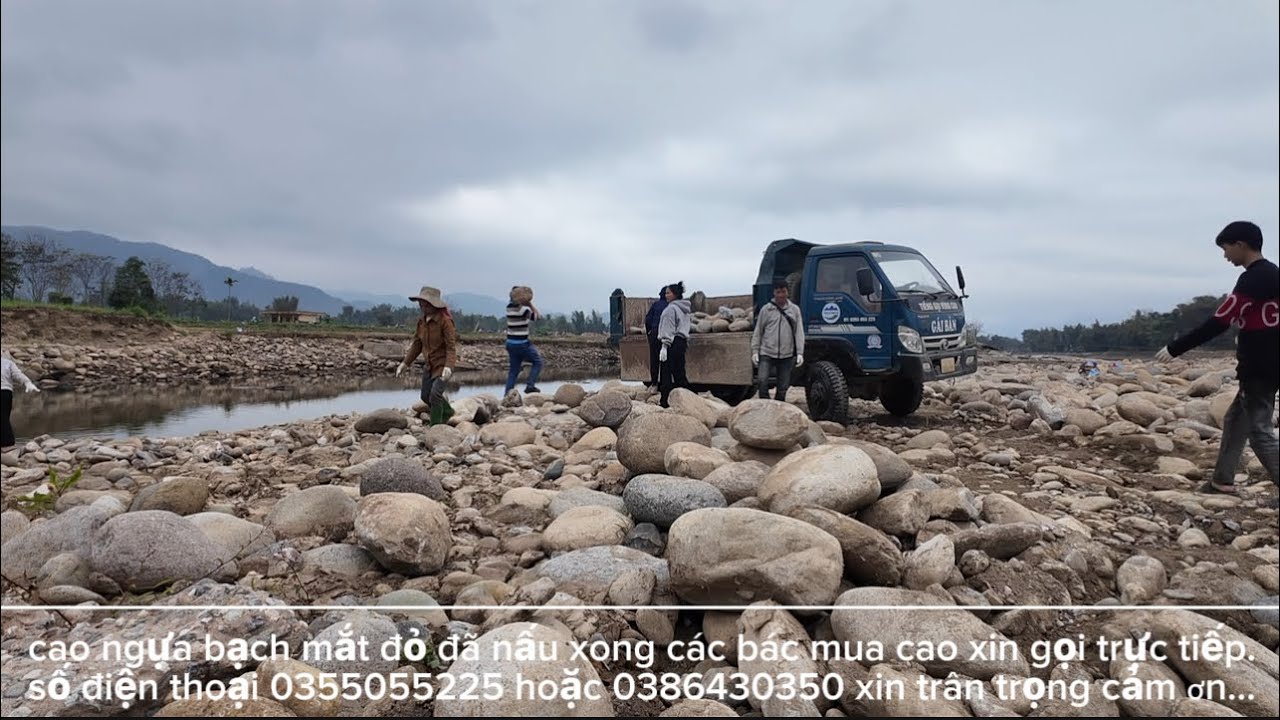 trời lạnh cắt da cắt thịt.làng xóm cùng nhau đến giúp bốc đá lên xây nhà 2 chị em (ĐÔI-SAI).#gaiban