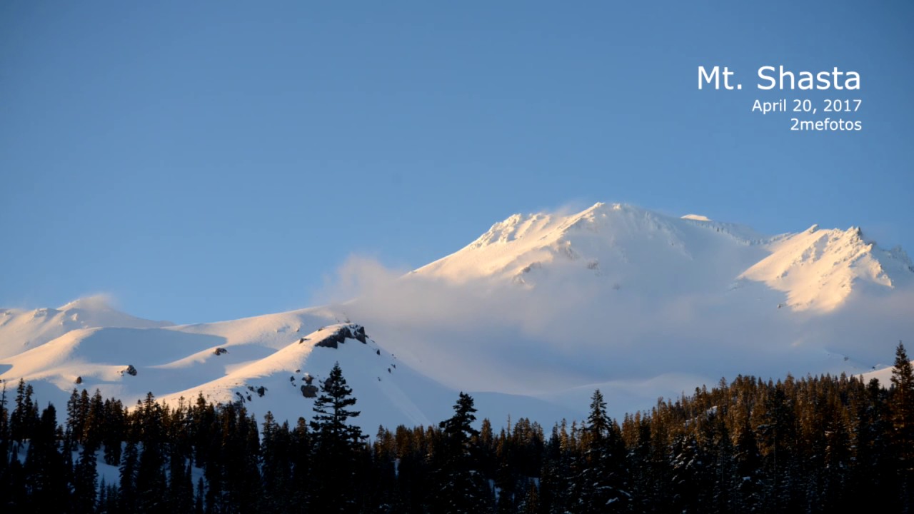 Mt Shasta from Bunny Flat