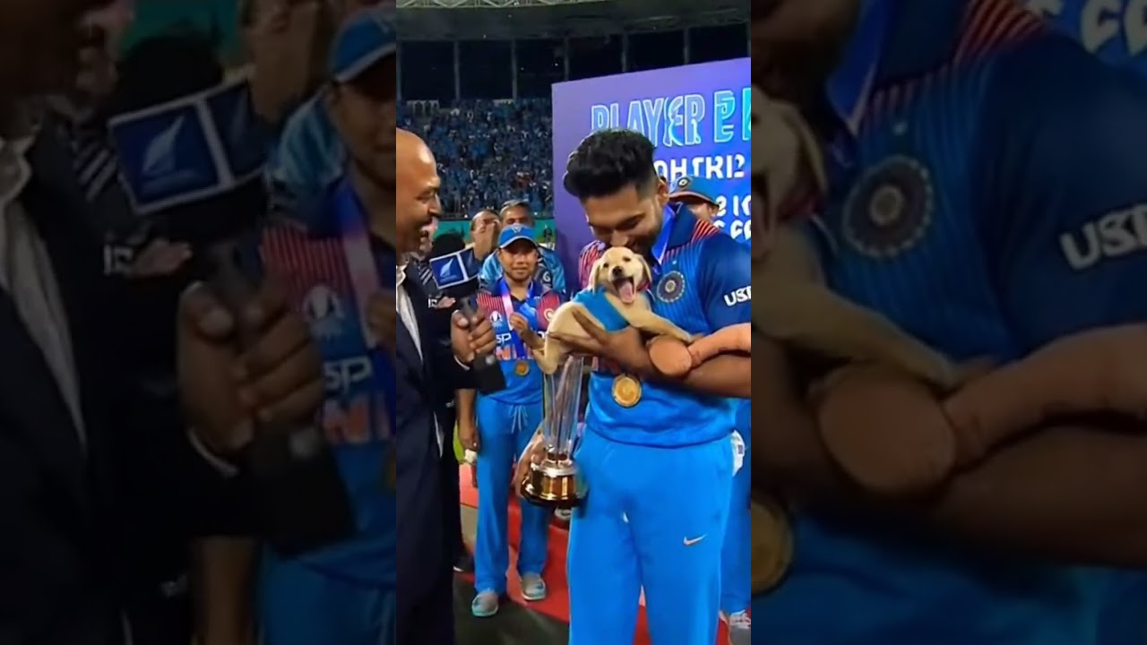 India vs New Zealand: Most ADORABLE Player of the Match Award Ever! 🐶🏏