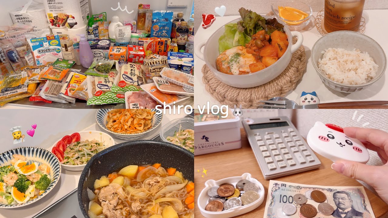 【 食費月一万円 】節約を楽しむ一人暮らし社会人の爆買いウエル活👛✨ / 9月家計簿公開🗒️ / おうちごはん😋🍚