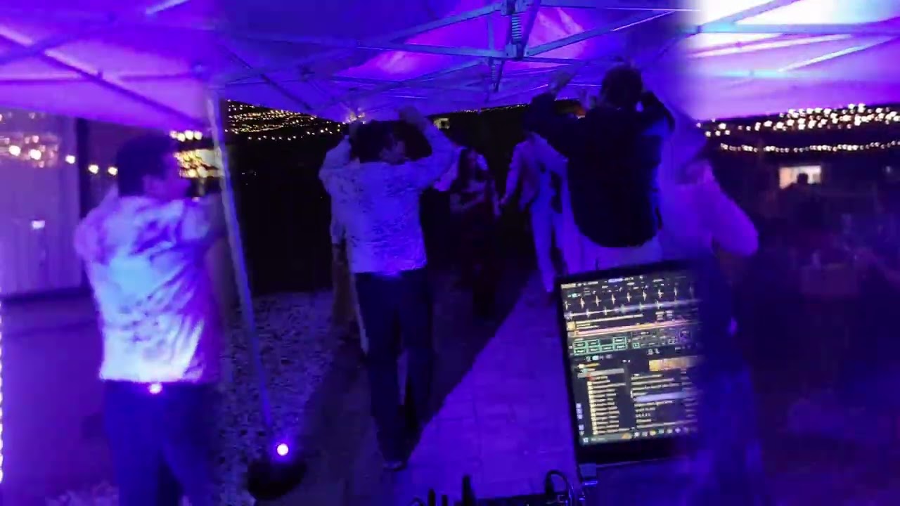 Sophie & Alex's Wedding - Vengabus