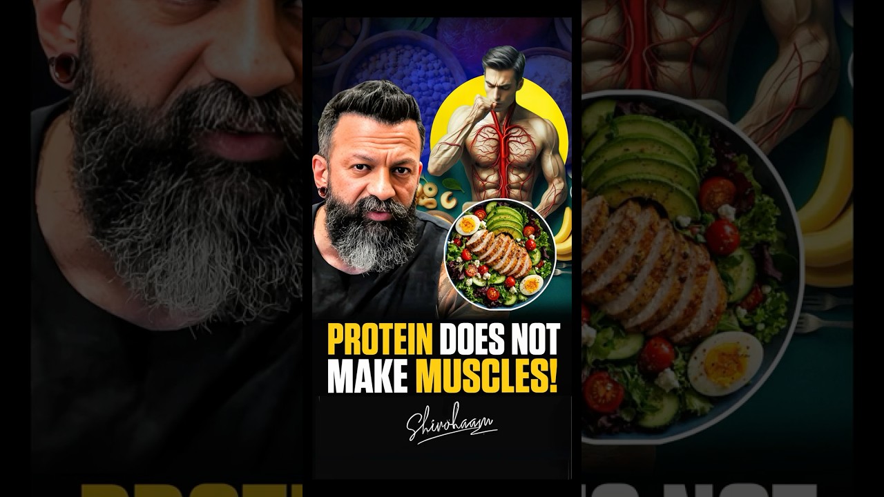 Protein Doesn't Build Muscle | Your Mitochondria Do