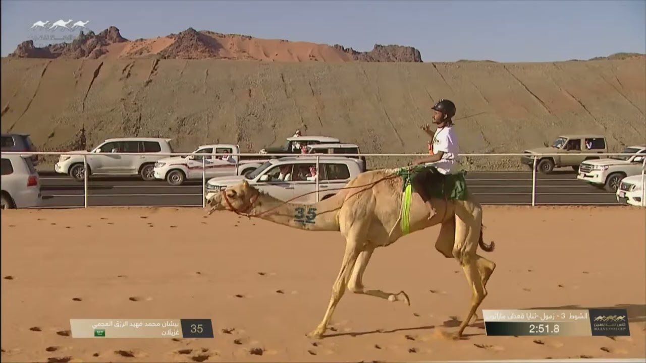 الشوط 3 ماراثون زمول وثنايا قعدان