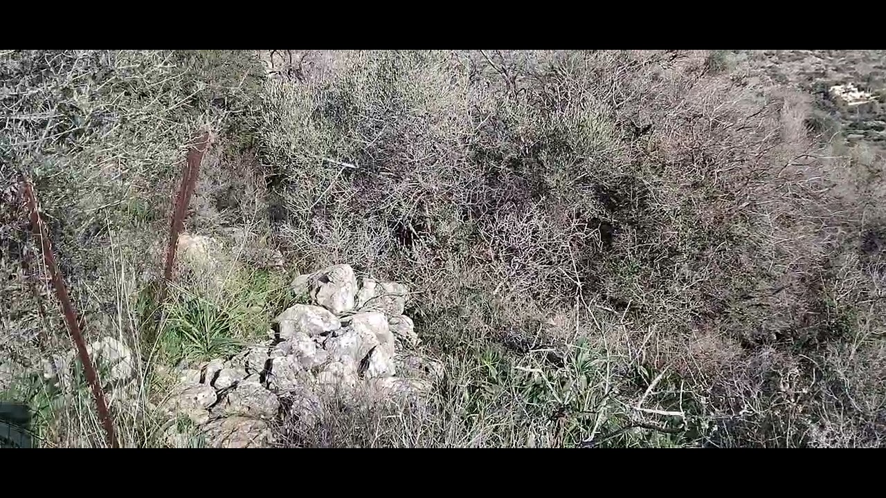 10/3/26 Κρήτη μπιγκλ εκπαιδευτικό 10/2/26 crete beagle practice