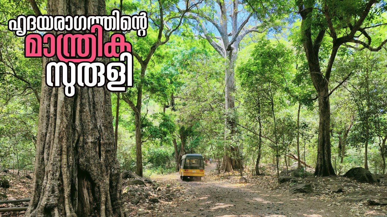 Suruli Falls Theni ✳️ Complete Details of Suruli Waterfalls In Malayalam | Suruli & Vaigai River